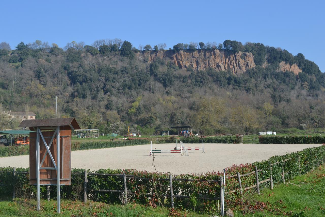 Agriturismo Le Forre Del Treja Civita Castellana Ngoại thất bức ảnh